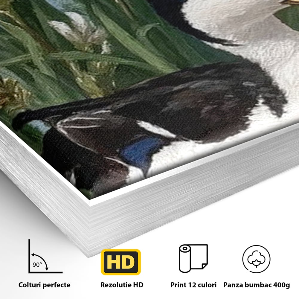 Detaliu al suprafetei: tablou canvas cu rata pe lac si flori de iris, in rama de aluminiu argintiu